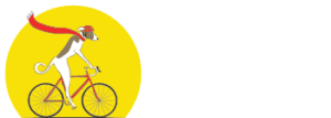 santa barbara bike rentals